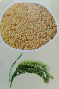 What is millet