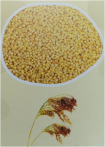 What is millet